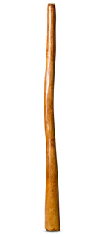 Gloss Finish Flared Didgeridoo (TW931)